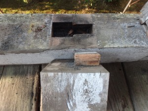 �_�Е��t�E�{�s��@�ޏ򎛗l�������C�H��