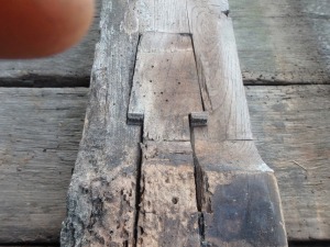 �_�Е��t�E�{�s��@�ޏ򎛗l�������C�H��