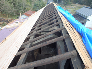 ���Îs�Ö��ƍĐ����t�H�[�����H�O