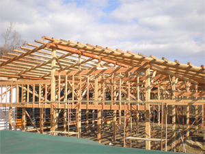 �E�l�̋Z �ؑ����Ɂ��S�؋���